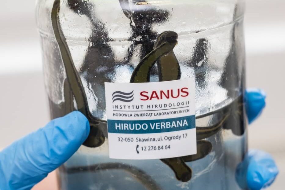 Instytut Hirudologii Sanus