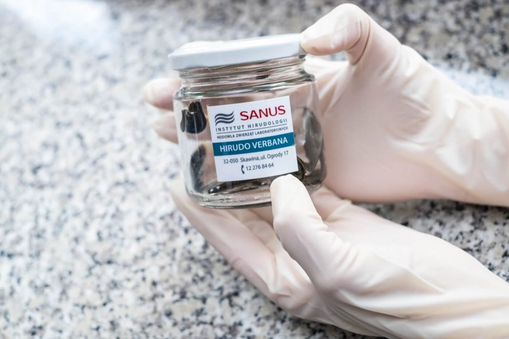 Instytut Hirudologii Sanus